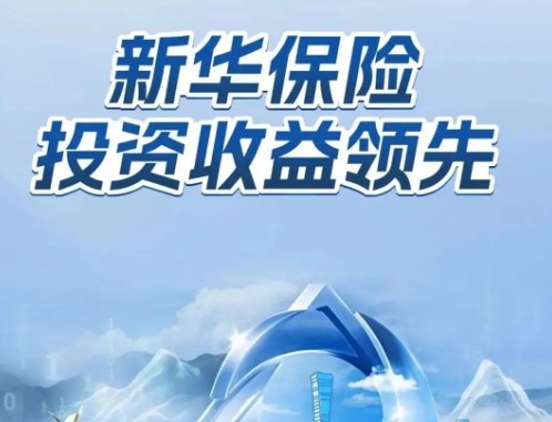 新华保险：发挥保险资金优势 支持资本市场发展
